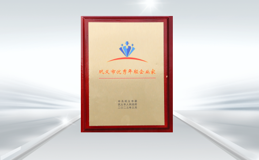 巩义市优秀年轻企业家