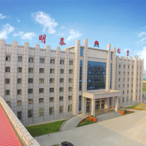 河南泰鸿新材料有限公司